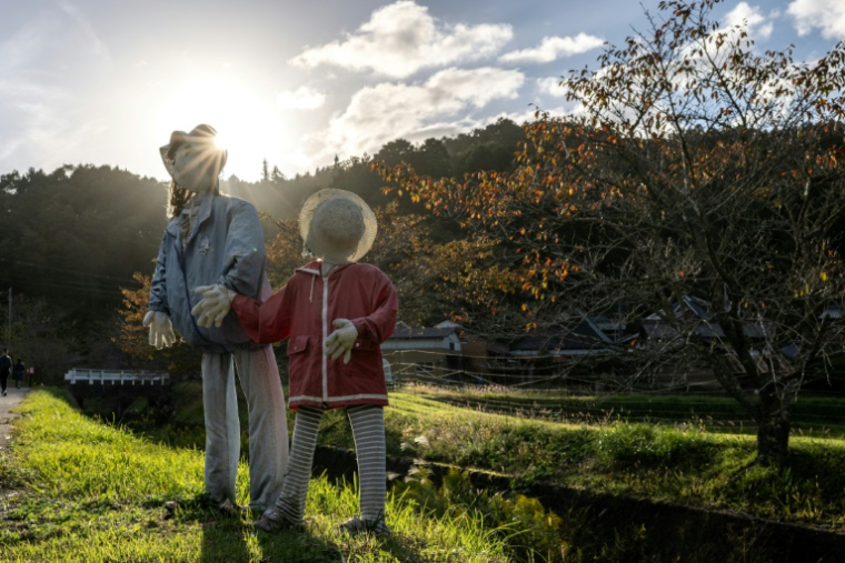 Des mannequins dans le village d'Ichinono, le 20 octobre 2024 au Japon ( AFP / Philip FONG )