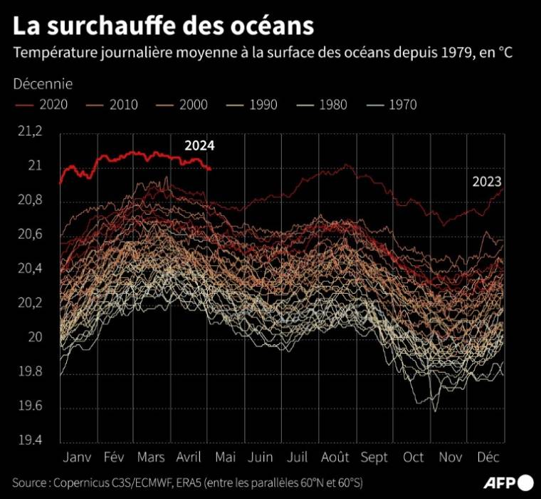 Température moyenne journalière à la surface des océans mesurée chaque année depuis 1979, entre les parallèles 60° nord et 60° sud, estimée par Copernicus C3S/ECMWF ( AFP / Jonathan WALTER )
