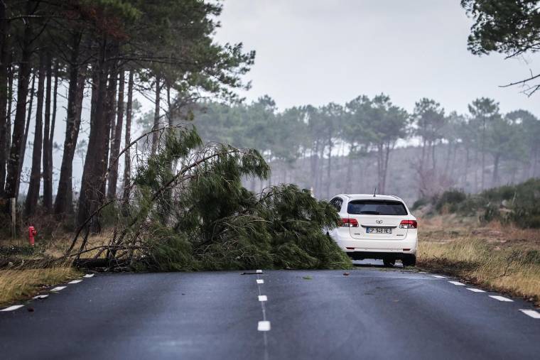 France Assureurs a estimé lundi 13 nvovembre à 1,3 milliard d'euros le coût des tempêtes Ciaran et Domingos, qui ont balayé une partie du pays début novembre. (Ici la Teste-de-Busch, le 5 novembre 2023) ( AFP / THIBAUD MORITZ )