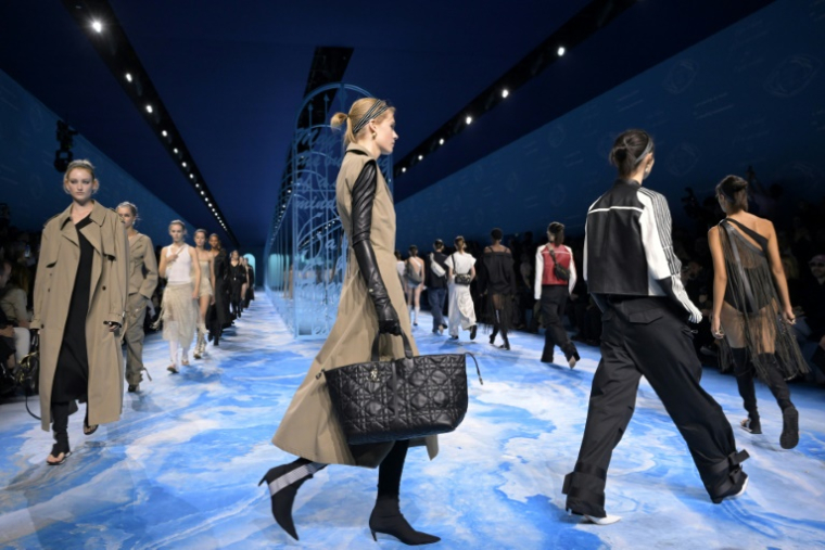 Défilé Dior de la collection prêt-à-porter féminin printemps-été 2025 à la Fashion Week de Paris, le 24 septembre 2024 ( AFP / Bertrand GUAY )