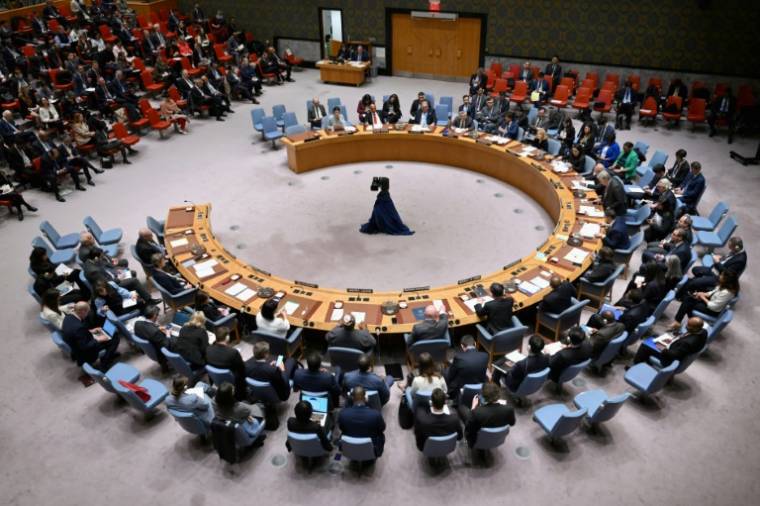 Réunion du Conseil de sécurité de l'ONU à New York, le 18 avril 2024 ( AFP / ANGELA WEISS )