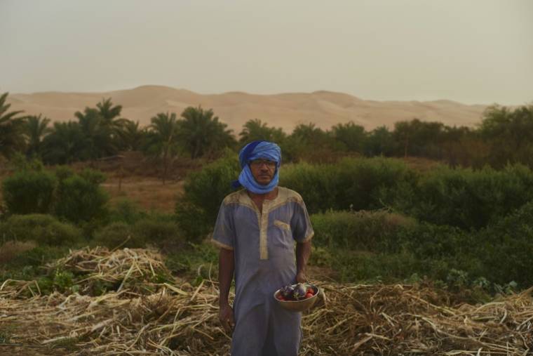 Mohamed Ould Vaide, un cultivateur de l'oasis de Maaden en Mauritanie, présente des légumes qu'il vient de récolter,  le 20 juin 2024 ( AFP / Michele Cattani )