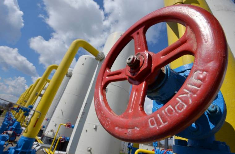 "Le gaz et le pétrole arrivent actuellement conformément aux commandes", assure le ministère de l'Économie allemand. ( AFP / GENYA SAVILOV )