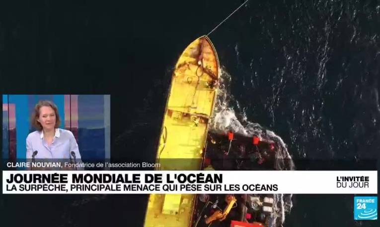 Claire Nouvian : "Nous accusons le gouvernement français de mentir sur la protection des océans"