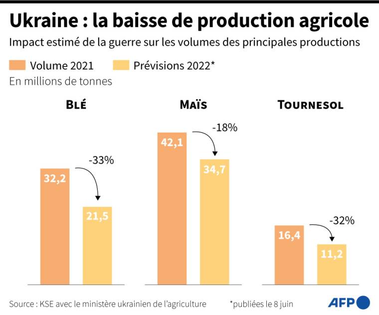 Impact estimé de la guerre sur les volumes des principales cultures d'Ukraine : blé, maïs et tournesol ( AFP /  )