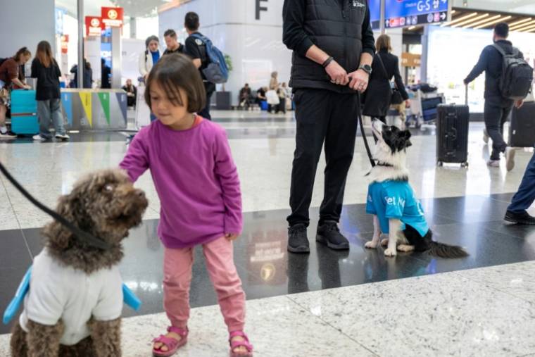 Une enfant caresse Kuki, un chien de thérapie pour réconforter les passagers stressés avant leur embarquement à l'aéroport d'Istanbul, le 3 mai 2024 en Turquie ( AFP / Yasin AKGUL )