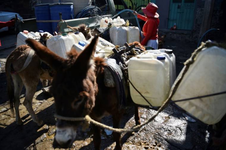 Une habitante remplit des bidons d'eau  transportés par des ânes, le 11 mars 2024 à Santa Cruz Acalpixca, au Mexique ( AFP / Rodrigo Oropeza )