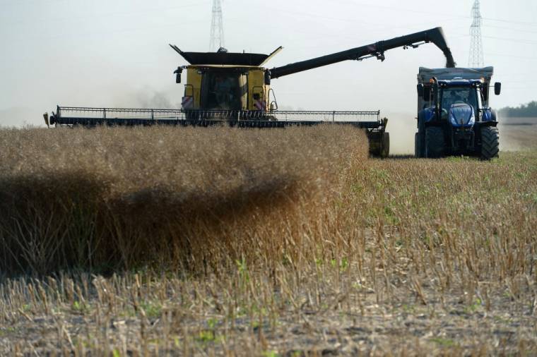 Le prix du blé a connu près de 40% d'augmentation en un an. ( AFP / JEAN-FRANCOIS MONIER )