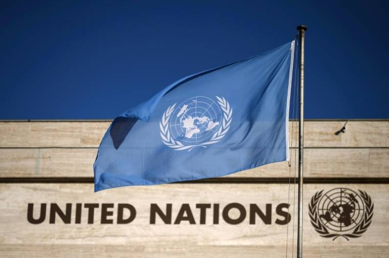 Plus de 190 pays membres de l'ONU se sont mis d'accord vendredi sur un traité "historique" en matière de brevets visant à lutter contre la biopiraterie et le pillage des ressources génétiques ( AFP / Fabrice COFFRINI )