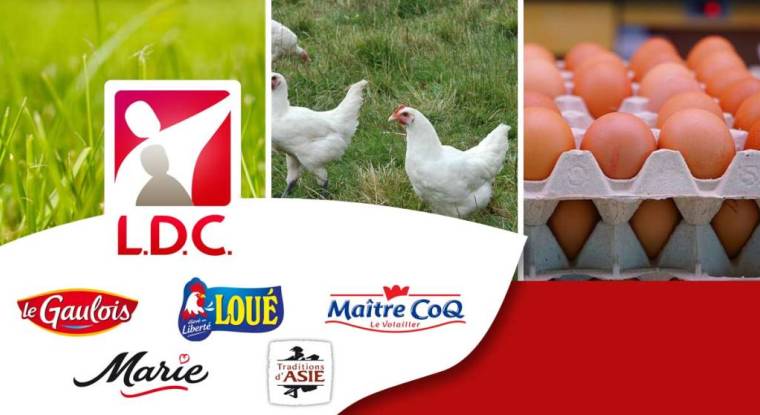 Le Gaulois, Loué, Maître Coq, Marie et Traditions d'Asie, quelques unes des marques du groupe LDC.(© LDC)
