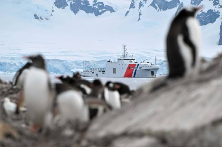 Le navire de la marine colombienne ARC Simon Bolivar dans les eaux du détroit de Gerlache, le 20 janvier 2024 en Antarctique   ( AFP / JUAN BARRETO )