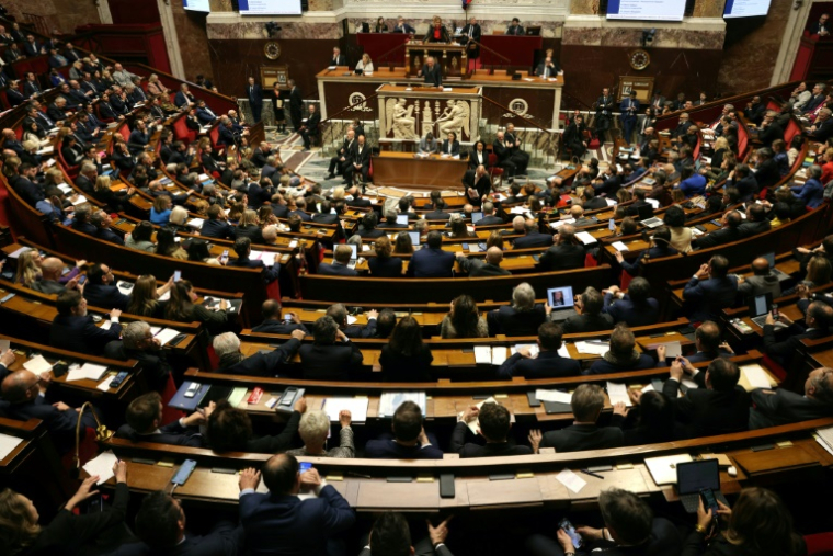 Le Premier ministre François Bayrou (C) fait sa déclaration de politique générale à l'Assemblée nationale le 14 janvier 2025 à Paris ( AFP / Thomas SAMSON )