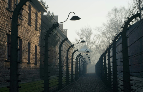 Le camp d'extermination d'Auschwitz-Birkenau, le 5 décem be 2019 à Oswiecim, en Pologne ( AFP / JANEK SKARZYNSKI )