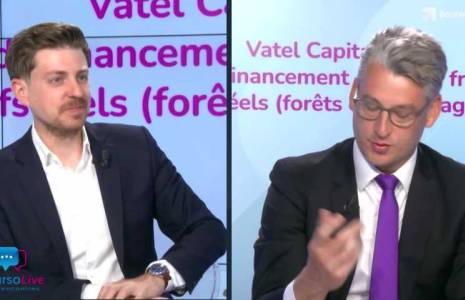 Vatel Capital, société spécialisée dans le financement des PME françaises et des actifs réels (fôrets et terres agricoles)