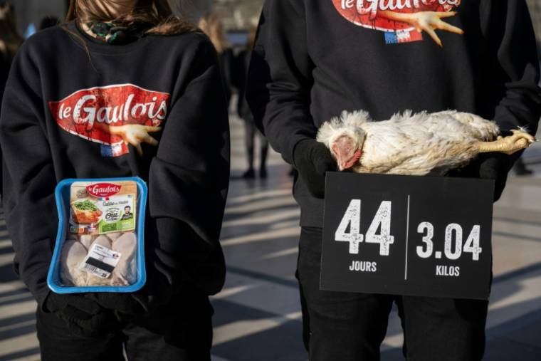Members of the L214 association hold dead chickens during a demonstration to denounce the use of genetically manipulated chickens by the French food company "Gallic"February 15, 2024 in Paris (AFP / BERTRAND GUAY)