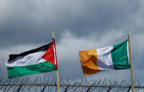 Drapeaux de la Palestine et de l'Irlande