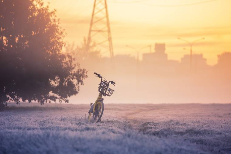 Comment protéger son vélo du vol (Crédits photo : Shutterstock)