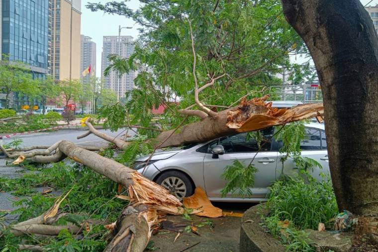 Des arbres effondrés après le passage de pluies diluviennes dans le sud de la Chine, à Qingyuan, le 22 avril 2024 ( AFP / STR )