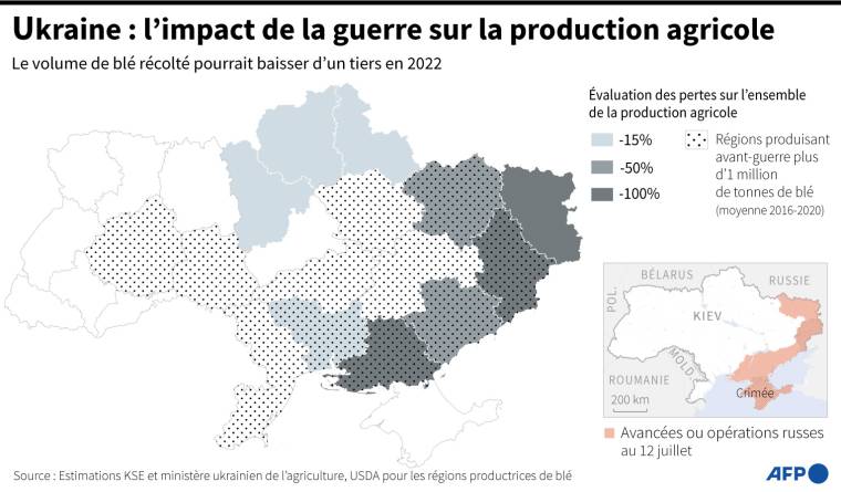 Carte montrant l'impact estimé de la guerre sur la production agricole, en particulier dans les régions qui produisaient le plus de blé avant l'invasion russe ( AFP /  )