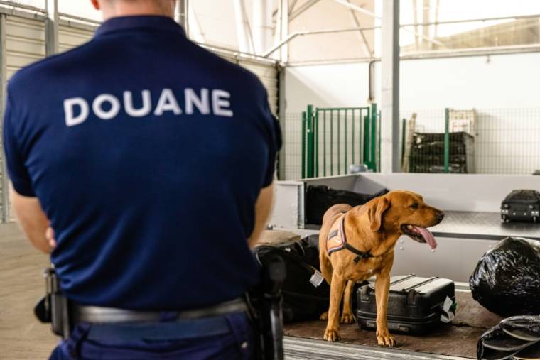 Un douanier et un chien renifleur inspectent les bagages à la recherche de drogue à l'aéroport de Cayenne, le 11 octobre 2022 en Guyane française ( AFP / jody amiet )