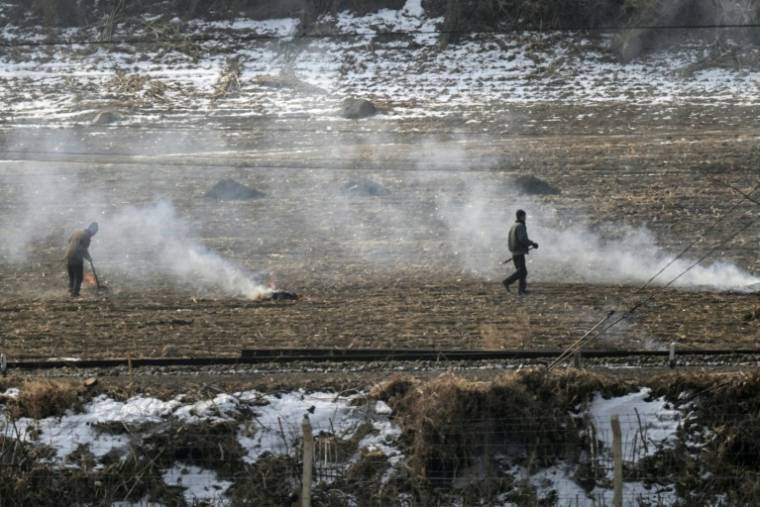 Des Nord-Coréens, vus depuis la ville chinoise de Tumen, travaillent dans un champ de leur pays, le 28 février 2024  ( AFP / Pedro PARDO )