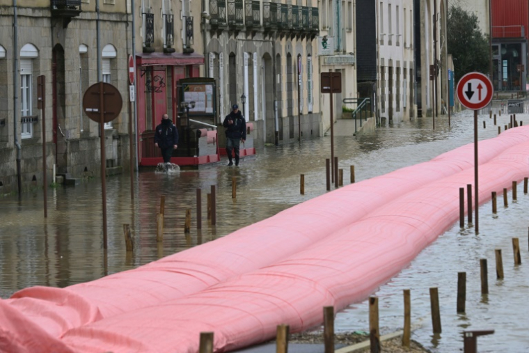 A Redon le 29 janvier 2025 ( AFP / Damien MEYER )