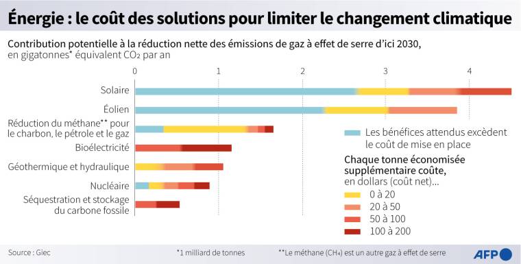 Différentes options d'approvisionnement en énergie pour réduire les émissions de gaz à effet de serre d'ici 2030, leur potentiel et leur coût, selon le Giec ( AFP /  )