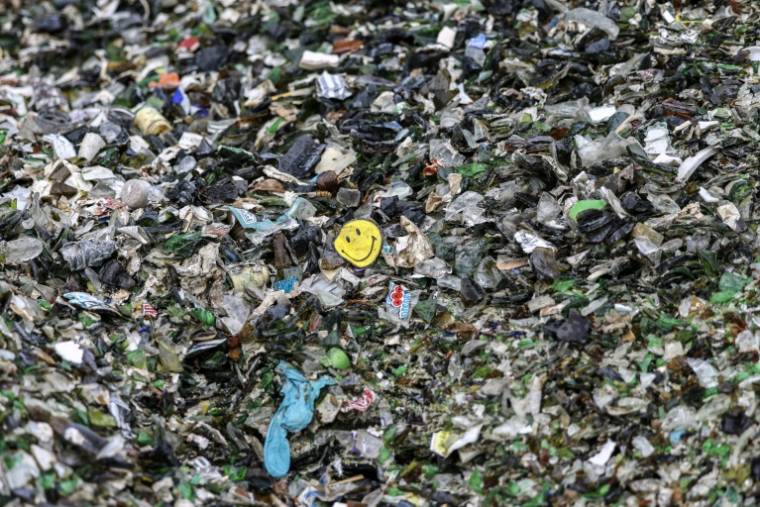 Recycler biologiquement les barquettes alimentaires en plastique qui finissent habituellement à l'incinérateur est désormais possible ( AFP / Charly TRIBALLEAU )