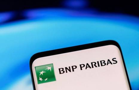L'ASSEMBLEE GENERALE DE BNP PARIBAS PERTURBÉE PAR DES MILITANTS ÉCOLOGISTES