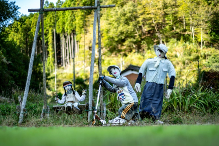 Des mannequins dans le village d'Ichinono, le 21 octobre 2024 au Japon ( AFP / Philip FONG )