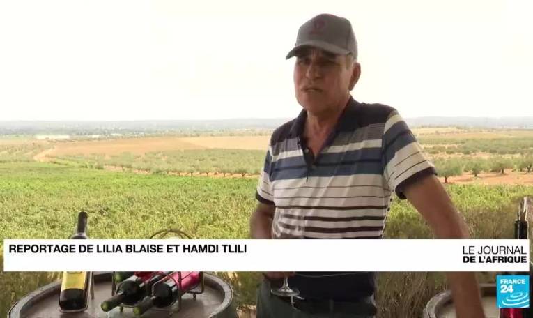 Tunisie : les producteurs de vin poussent pour une meilleure qualité