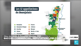 Le Beaujolais nouveau, une réussite commerciale... plus que gustative