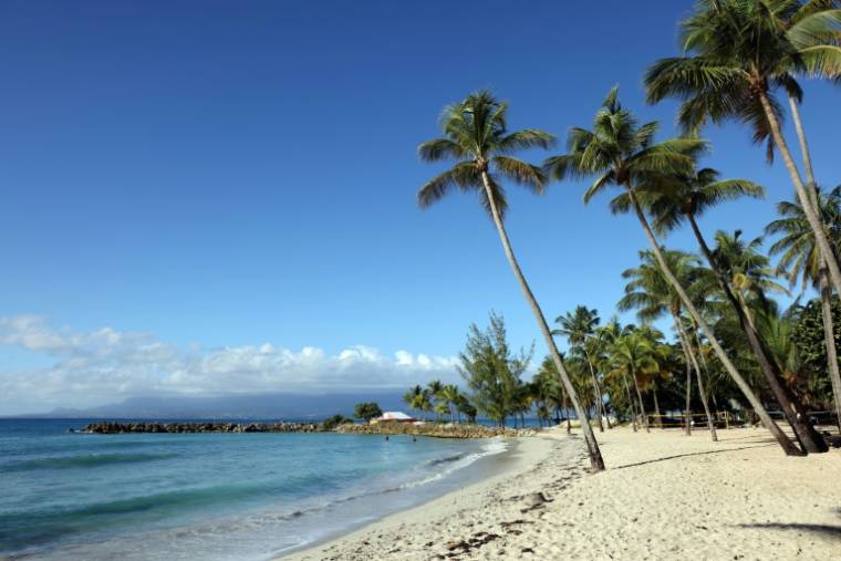 La plage du Gosier, en Guadeloupe, le 12 février 2022 ( AFP / Thomas COEX )