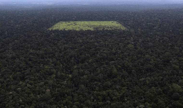 LA DÉFORESTATION DE L'AMAZONIE S'ACCROÎT