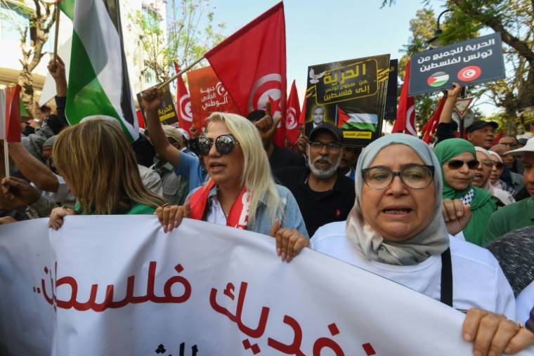Manifestation à l'appel du Front de salut national (FSN) contre une vague d'arrestations de chroniqueurs de radio et télévision pour des critiques de la situation du pays, le 12 mai 2024 à Tunis  ( AFP / FETHI BELAID )