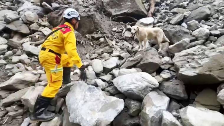 Image tirée d'une vidéo diffusée le 6 avril 2024 par le Service d'incendie du comté de Hualien d'un secouriste cherchant des survivants avec l'aide de du labrador Roger (d), après un puissant séisme sur l'île de Taïwan ( Service d'incendie du comté de Hualien / Laurent FIEVET )