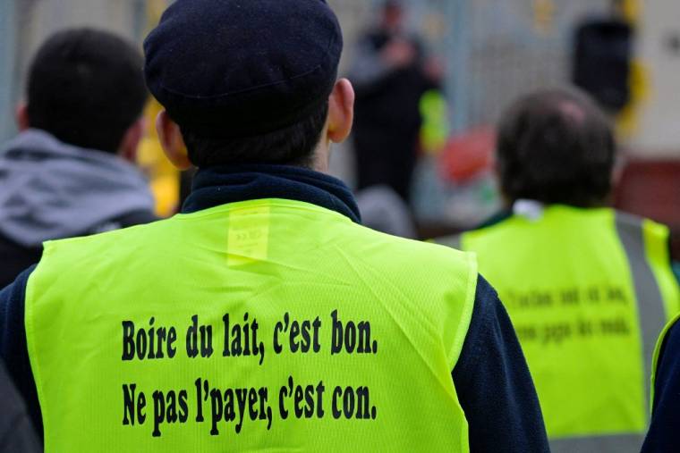 Un manifestant à Rennes, le 25 janvier 2024. ( AFP / DAMIEN MEYER )