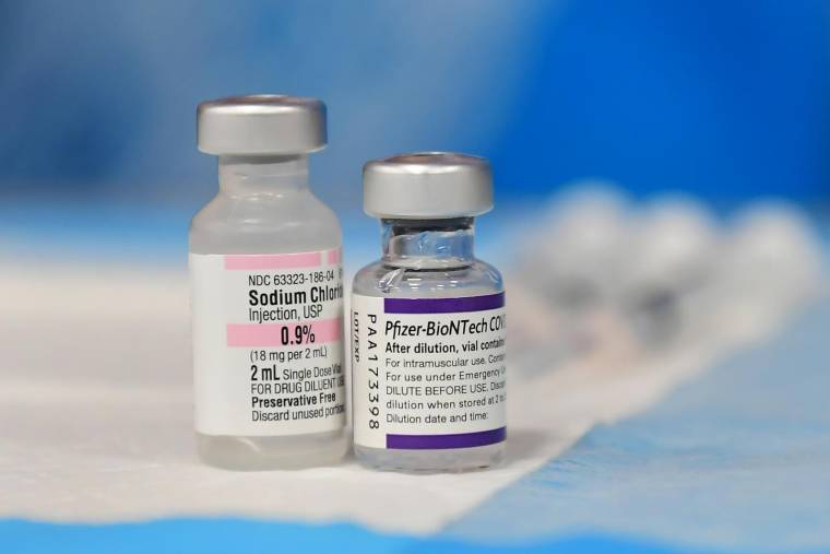 Des doses de vaccin contre le Covid-19 développé par Pfizer. ( AFP / Frederic J. BROWN )