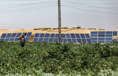 Un homme tient une pelle dans un champ de pastèques près de panneaux solaires utilisés pour alimenter l'irrigation des champs dans une ferme du village d'Al-Haddadiya dans le nord-est de la Syrie, le 24 septembre 2023 ( AFP / Delil SOULEIMAN )