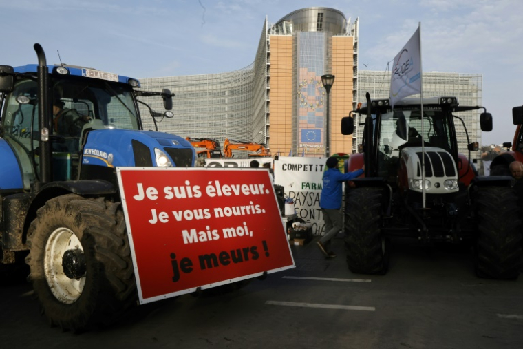 Manifestation d'agriculteurs contre l'accord de libre-échange entre entre l'UE et les pays du Mercosur, le 13 novembre 2024 à Bruxelles ( BELGA / NICOLAS MAETERLINCK )