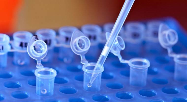 La biotech pourrait être obligée de relancer de nouveaux essais cliniques. (© CC UMSES)