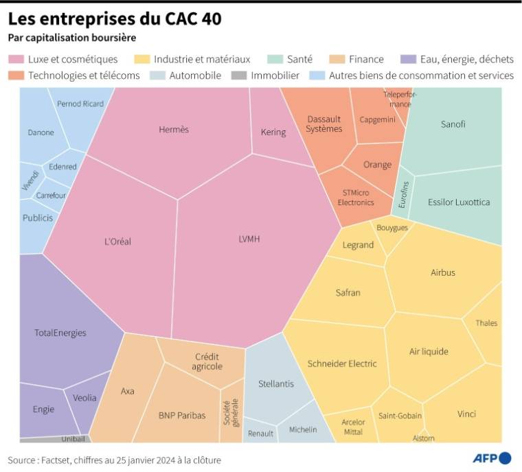 Graph classifying the 40 companies on the Paris Stock Exchange by sector and market capitalization, as of January 25, 2024 at the close (AFP /)