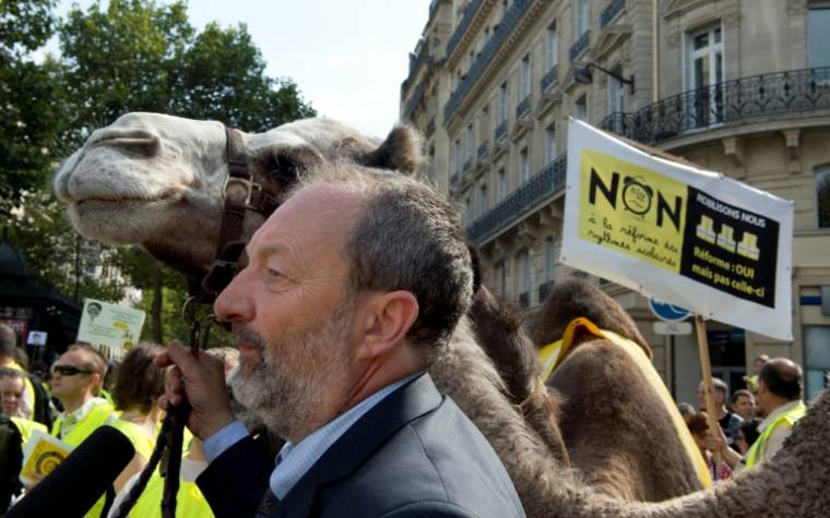 Christian Schoettl, maire de Janvry, dans l'Essonne, avec l'un de ses animaux lors d'une manifestation à Paris en 2014  ( AFP / ALAIN JOCARD )