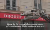 Barry le dinosaure exposé à Paris avant sa mise aux enchères