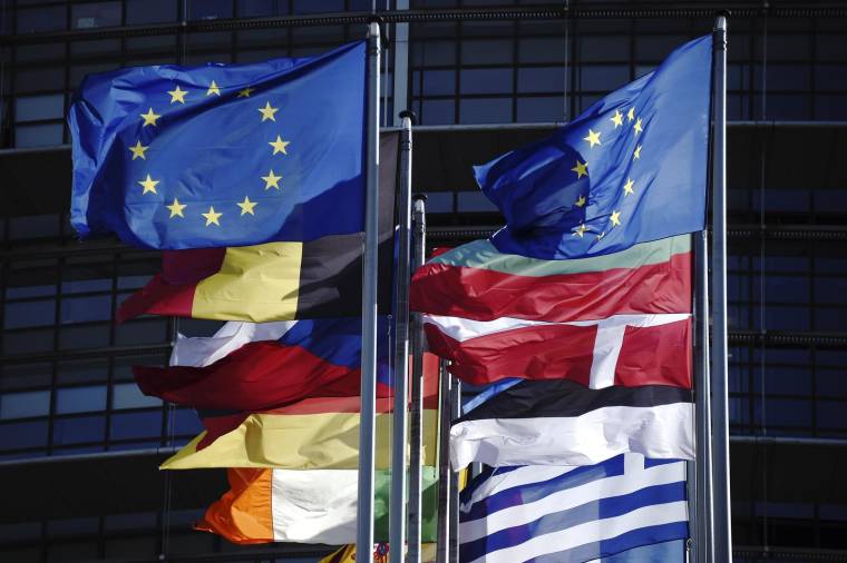 Les drapeaux européens et de pays membres de l'Union européenne sur le parvis du Parlement à Strasbourg. ( AFP / FREDERICK FLORIN )