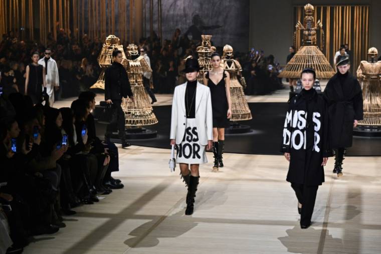 Dior fashion show for the Fall-Winter 2024/2025 Women's Ready-to-Wear collection at Paris Fashion Week, February 27, 2024 (AFP / Miguel MEDINA)