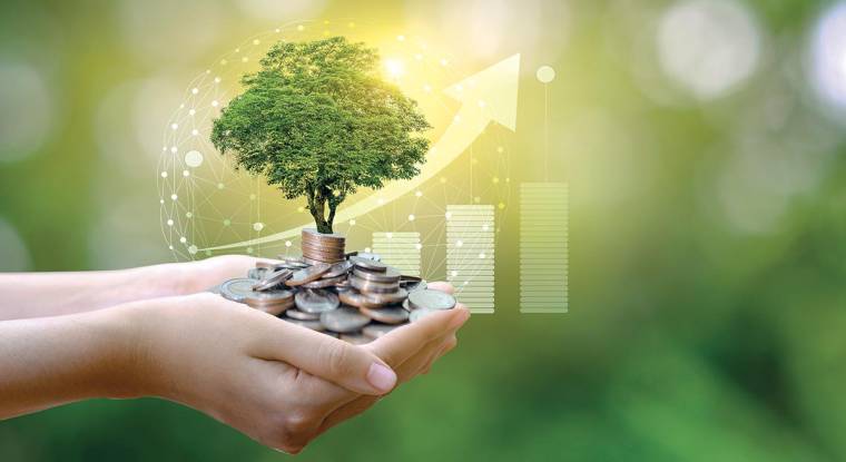 Pour bénéficier de plus grandes garanties sur la dimension environnementale, tournez-vous vers les fonds labellisés Greenfin. (© Shutterstock)