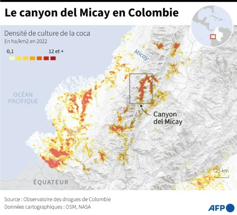 Carte de la Colombie localisant le canyon del Micay, dans la région du Cauca, principale zone de production de coca contrôlée par une faction de la dissidence des FARC ( AFP / Gustavo IZUS )