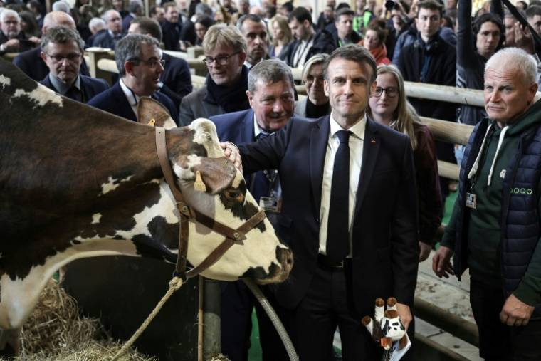 Le président Emmanuel Macron près de la vache normande "Oreillette" et de son éleveur François Foucault (d), à l'ouverture du 60e Salon international de l'agriculture (SIA), le 24 février 2024 à Paris ( POOL / Christophe PETIT TESSON )