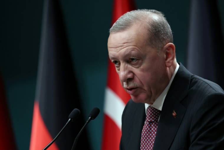 Le président turc Recep Tayyip Erdogan, le 24 avril 2024 à Ankara ( AFP / Adem ALTAN )